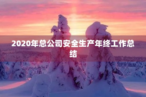 2020年总公司安全生产年终工作总结