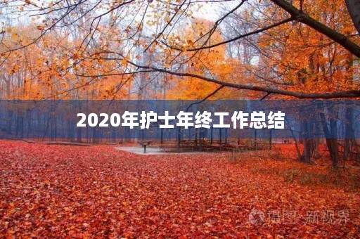 2020年护士年终工作总结