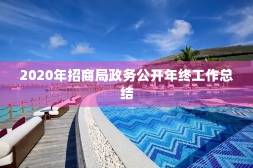 2020年招商局政务公开年终工作总结