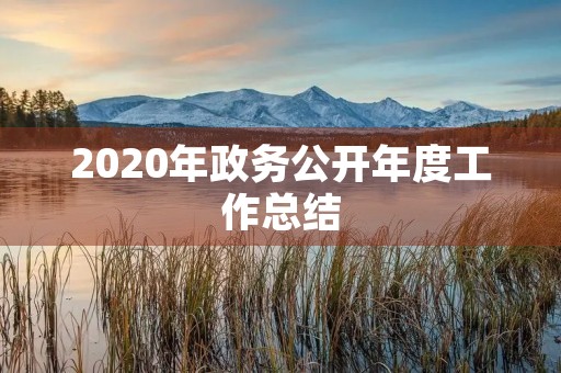 2020年政务公开年度工作总结