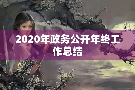 2020年政务公开年终工作总结