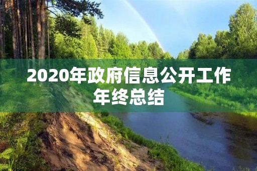 2020年政府信息公开工作年终总结