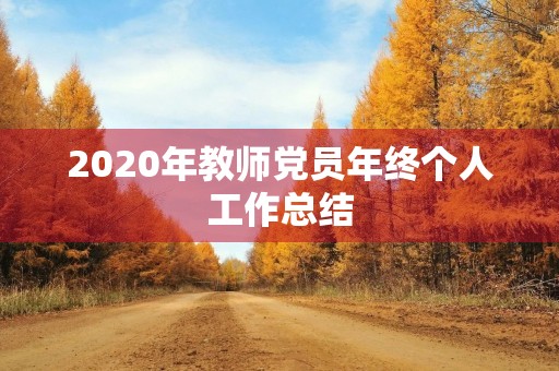 2020年教师党员年终个人工作总结