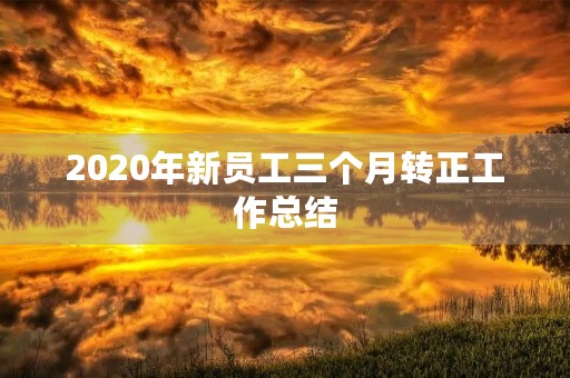 2020年新员工三个月转正工作总结