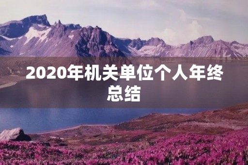 2020年机关单位个人年终总结