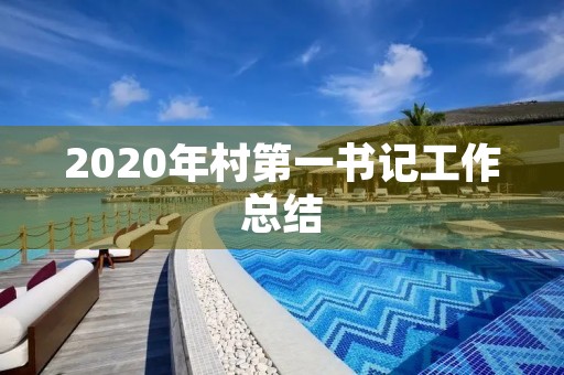 2020年村第一书记工作总结