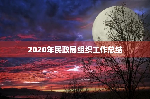 2020年民政局组织工作总结