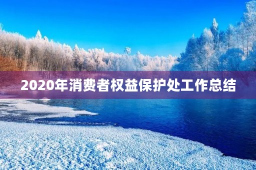 2020年消费者权益保护处工作总结