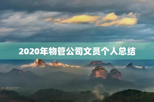 2020年物管公司文员个人总结