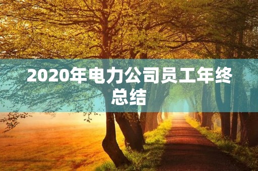 2020年电力公司员工年终总结