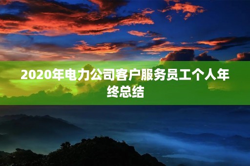 2020年电力公司客户服务员工个人年终总结
