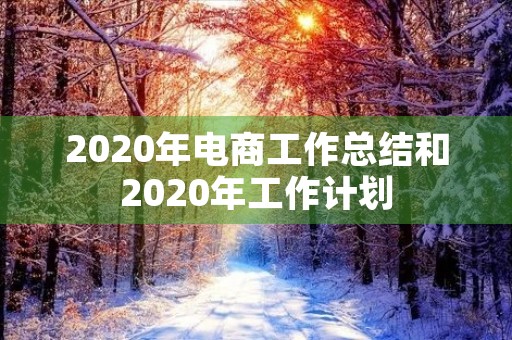 2020年电商工作总结和2020年工作计划