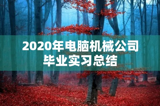 2020年电脑机械公司毕业实习总结