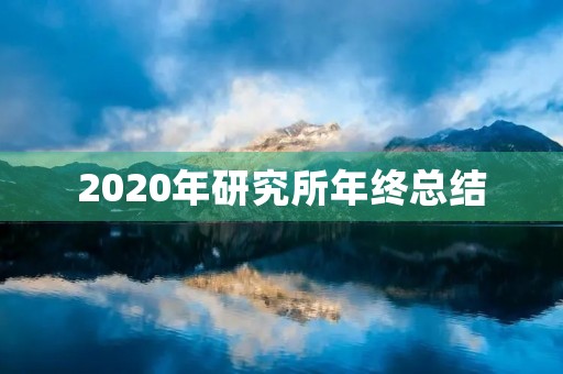 2020年研究所年终总结