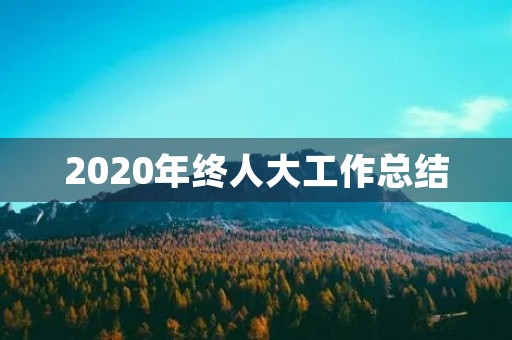 2020年终人大工作总结
