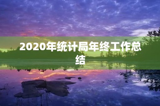 2020年统计局年终工作总结