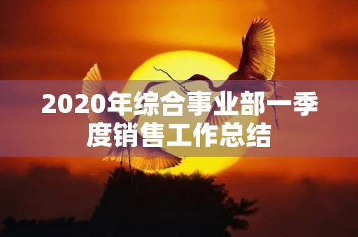 2020年综合事业部一季度销售工作总结