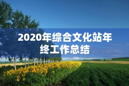 2020年综合文化站年终工作总结