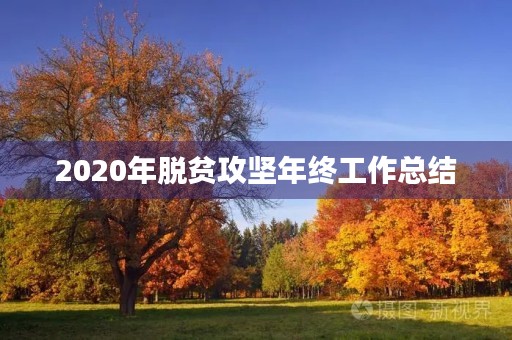 2020年脱贫攻坚年终工作总结