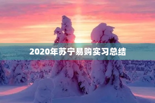 2020年苏宁易购实习总结 2020年苏宁易购实习总结