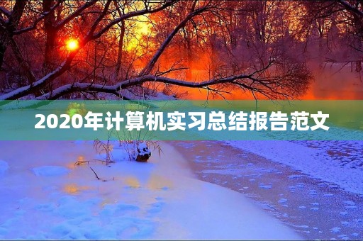 2020年计算机实习总结报告范文