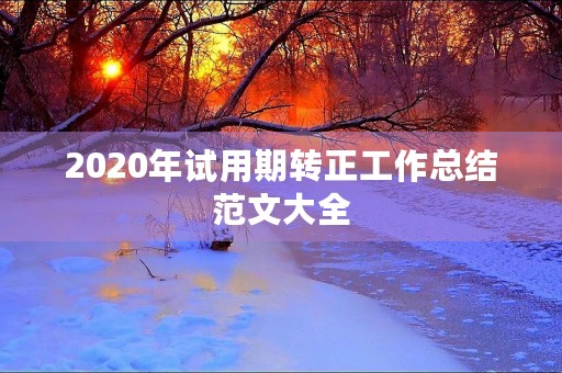 2020年试用期转正工作总结范文大全