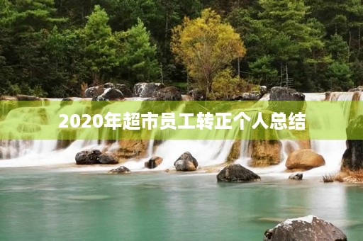 2020年超市员工转正个人总结