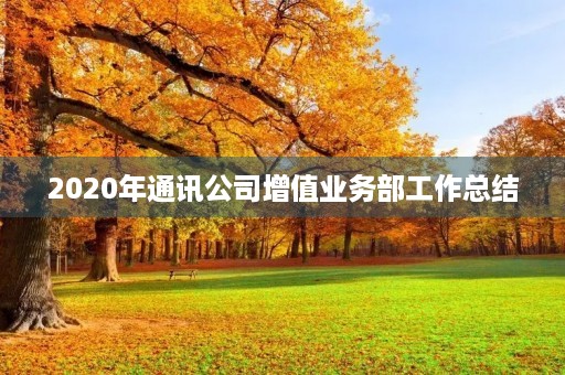 2020年通讯公司增值业务部工作总结