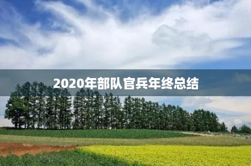 2020年部队官兵年终总结