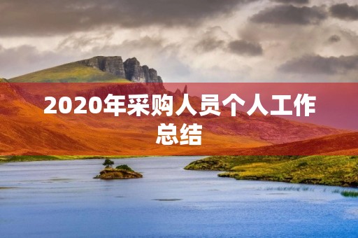 2020年采购人员个人工作总结