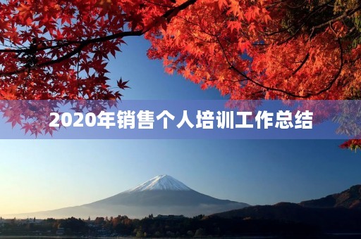 2020年销售个人培训工作总结