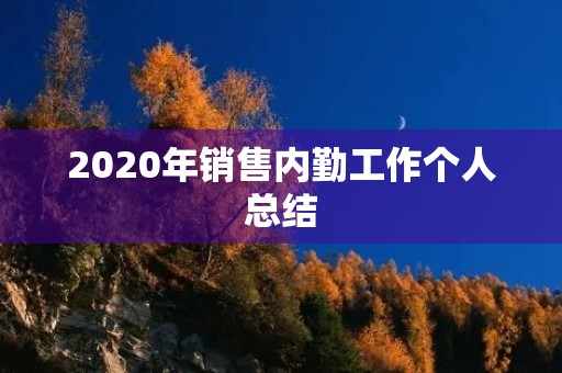2020年销售内勤工作个人总结