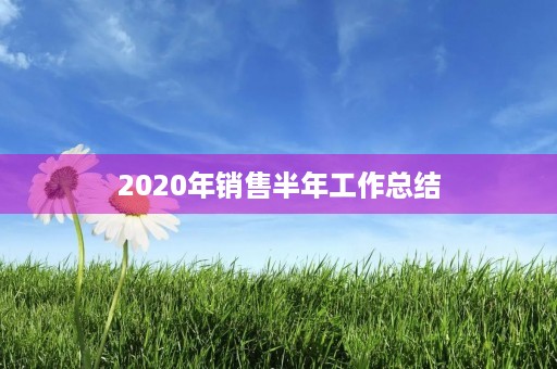 2020年销售半年工作总结