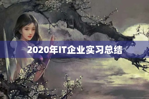 2020年IT企业实习总结 2020年IT企业实习总结