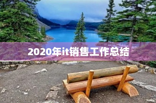 2020年it销售工作总结