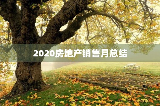 2020房地产销售月总结