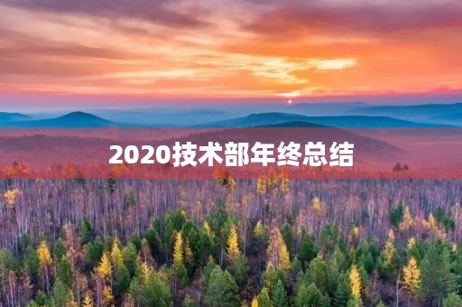 2020技术部年终总结 2020技术部年终总结