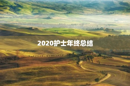 2020护士年终总结 2020护士年终总结