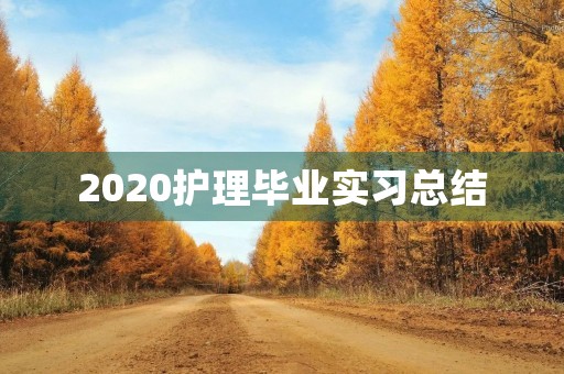 2020护理毕业实习总结 2020护理毕业实习总结