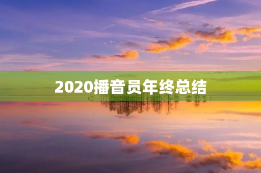 2020播音员年终总结 2020播音员年终总结