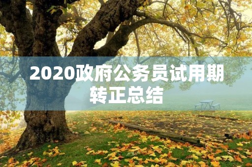 2020政府公务员试用期转正总结