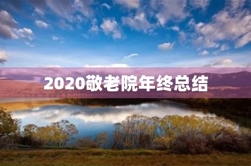 2020敬老院年终总结