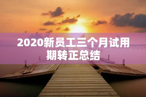 2020新员工三个月试用期转正总结