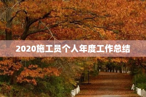 2020施工员个人年度工作总结