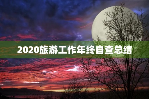 2020旅游工作年终自查总结