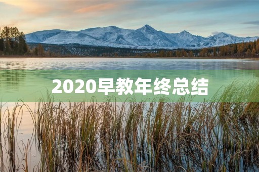 2020早教年终总结 2020早教年终总结