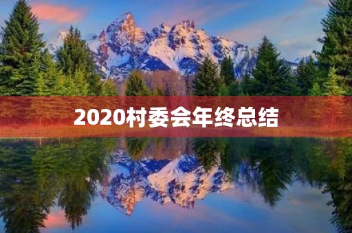 2020村委会年终总结
