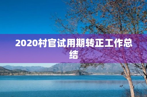 2020村官试用期转正工作总结