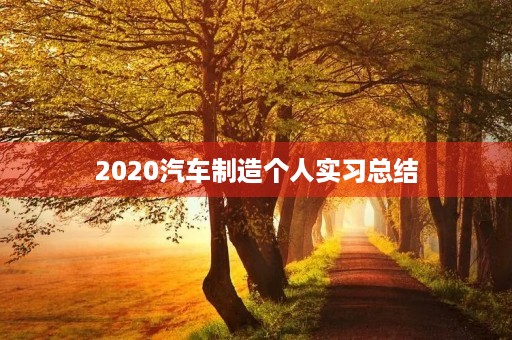 2020汽车制造个人实习总结