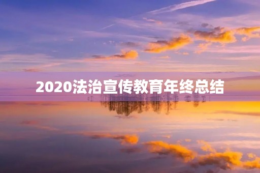 2020法治宣传教育年终总结